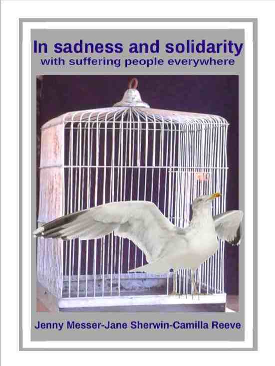 Front cover of In Sadness and Solidarity