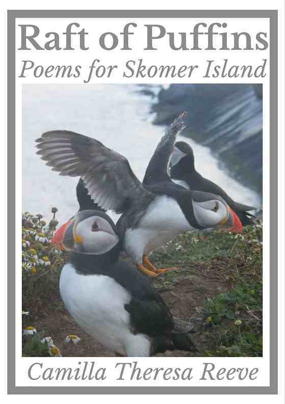 Front cover of Raft of Puffins