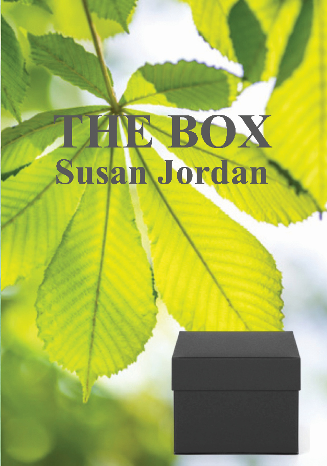 The Box by Susan Jordan